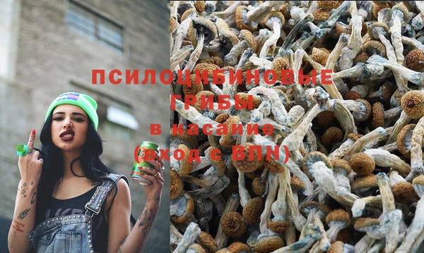 метадон Абаза